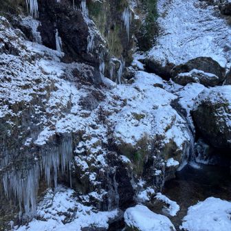 ツララも1m以上に育ってる！