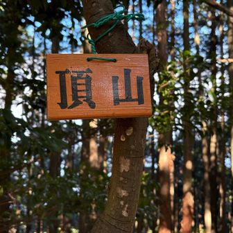 頂山に到着〜
景観なし。