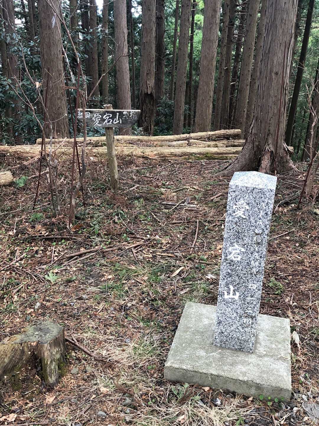 愛宕山。