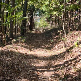こういう道を頭空っぽにして歩くために俺は山に登ってるのかもしれない
