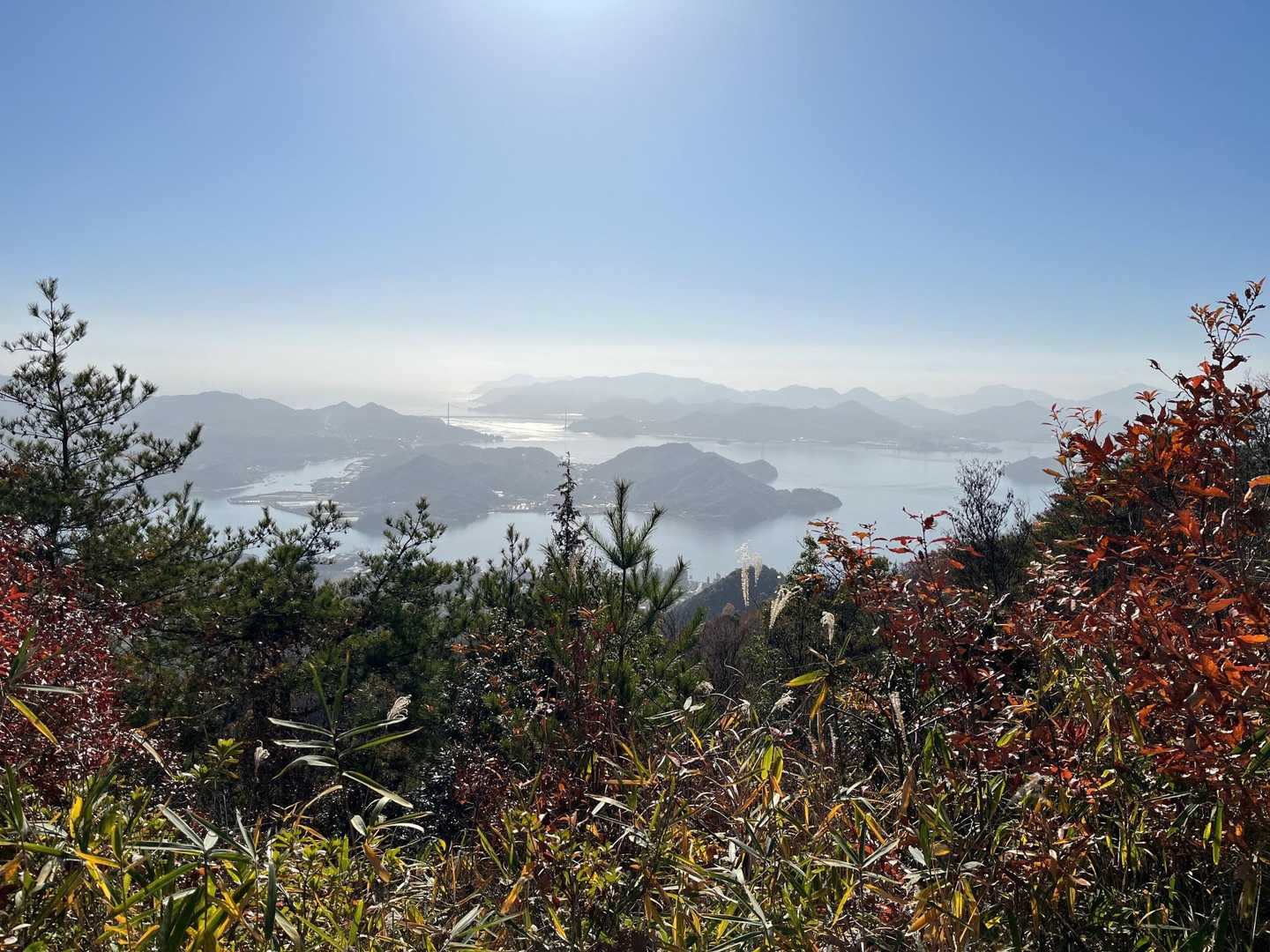 鉢ヶ峰 往復コースの写真