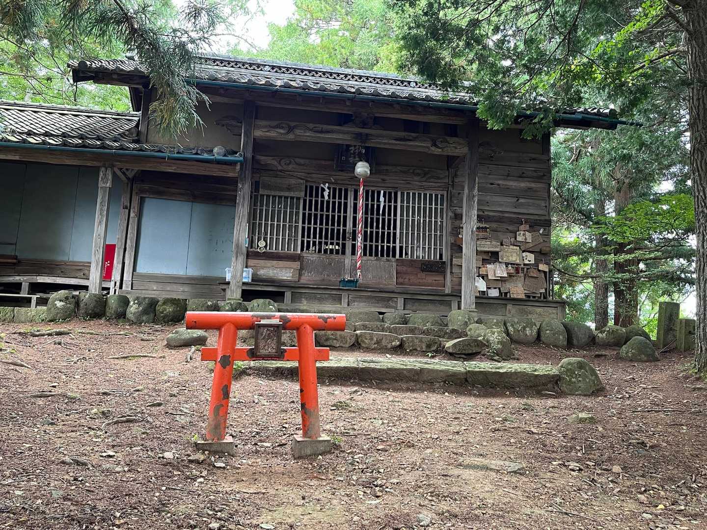 小さい鳥居が可愛い🩷