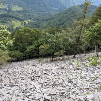 薄い岩の流れ跡。
八ヶ岳とは異なる岩肌
