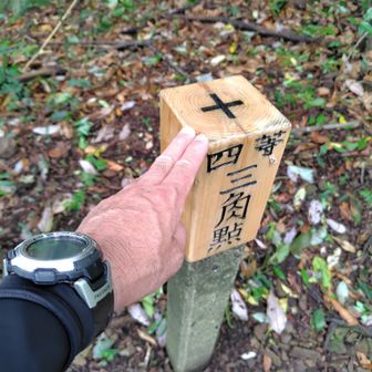 🤚手の甲 蚊🦟にやられる🥹