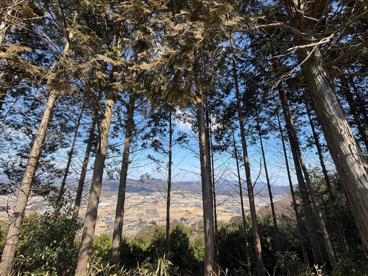 鳥居 沼八幡宮表参道-沼八幡宮-赤子山登山口-赤子山 往復コースの写真