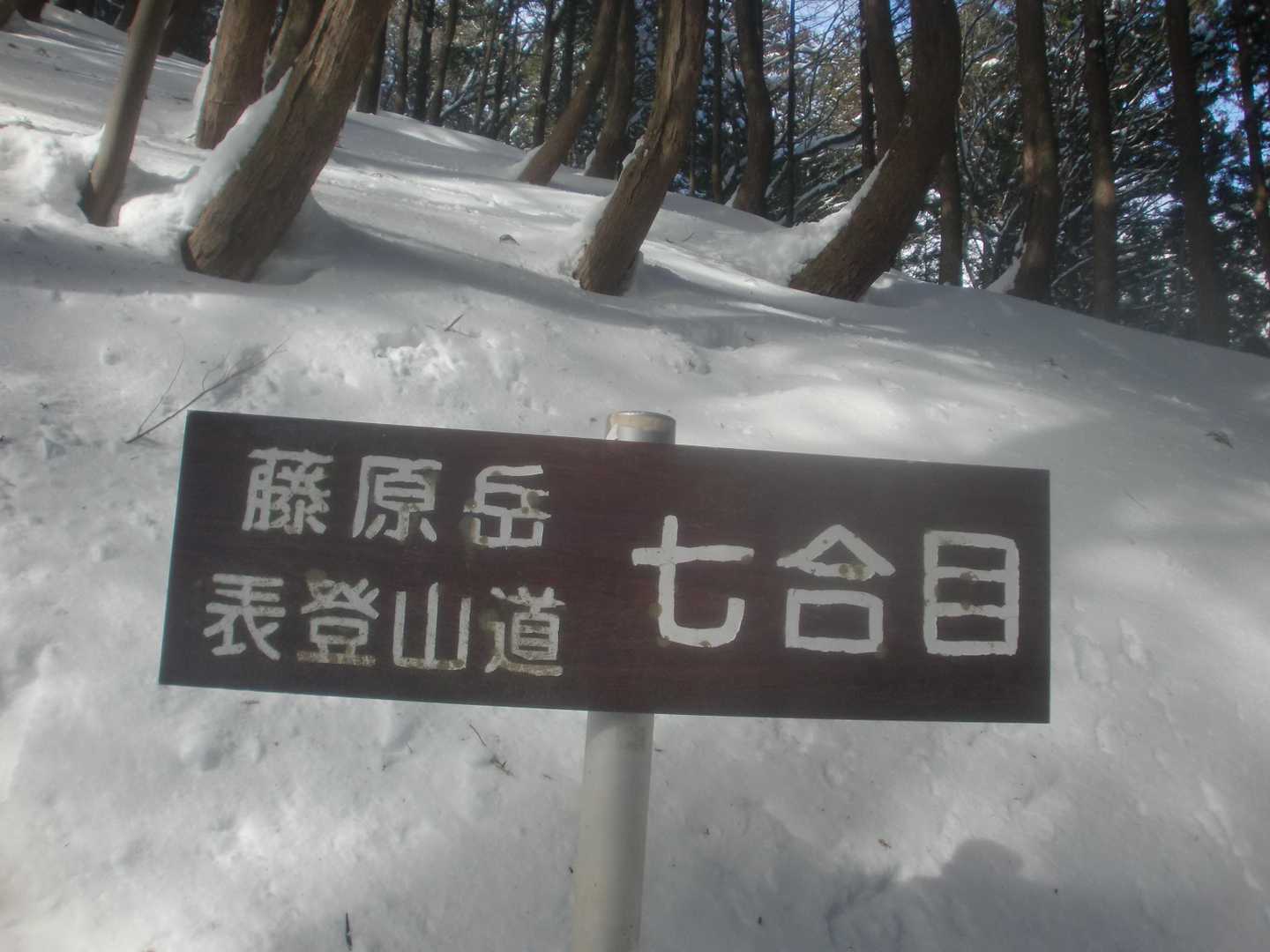 七合目