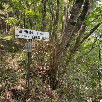 あっ！まだまだだー
