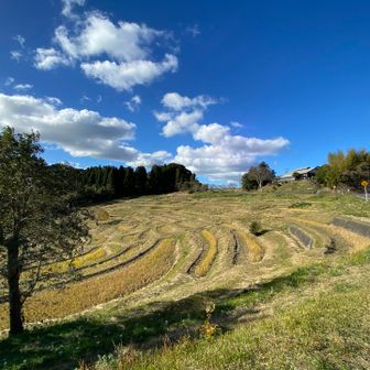 大山千枚田に到着
