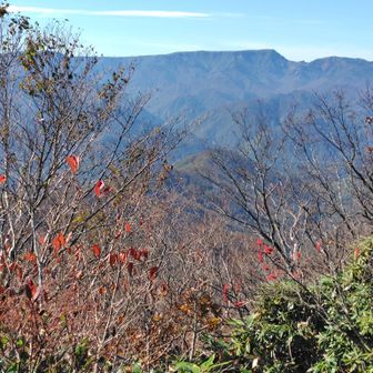 苗場山