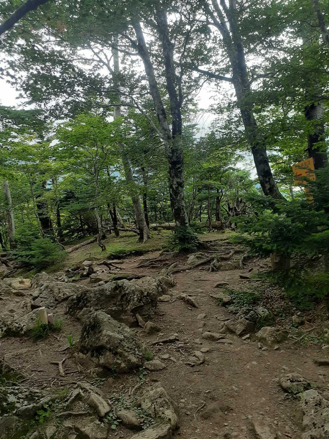 弁天の森戻ってきましたもう安心😃