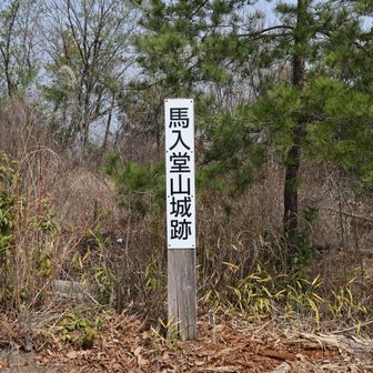 馬入山 城跡