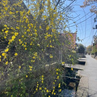 オウバイモドキ💛

公園でちょこっと休憩🥤
自販機でお腹の足しになりそうなマッチのゼリードリンク購入