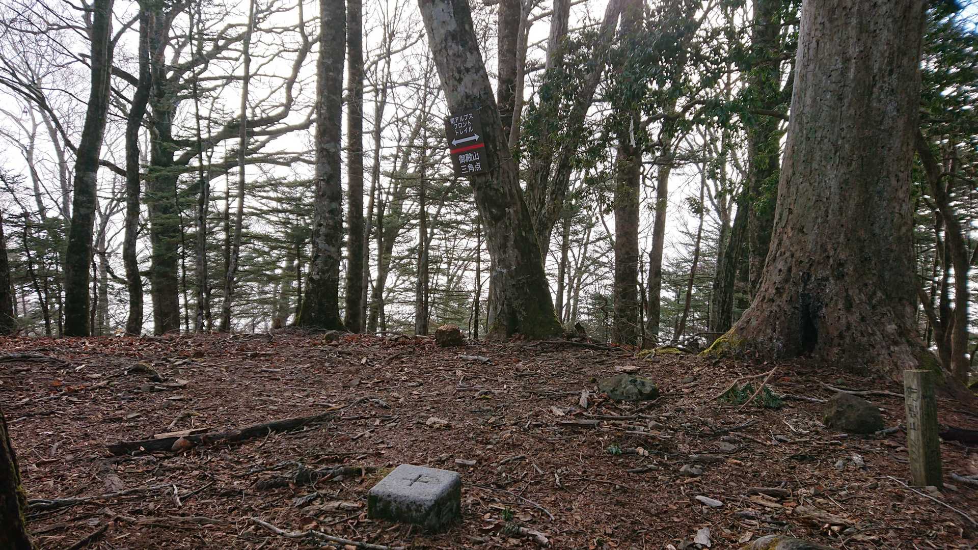 少し戻って、ここが御殿山の三角点✨