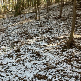 建物を左から回ったら斜度50度以上で道はありません😅念のためチェーンスパイクを履いていたのでガシガシ登りました💨全然すべらないのでチェーンスパイクってホントに凄い😳