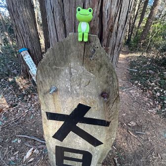 三座目、大日山到着