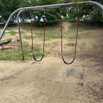 座面が優しいです