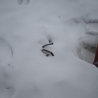 あっ！末っ子の骨が🤣