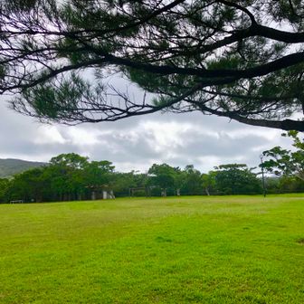 名護城公園のガンジュー広場からスタート🚶