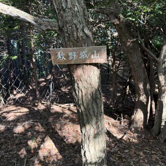 秋野城山登頂⛰️

下る時はYAMAPの地図通りに下ったら
全然違うところに出た😅
