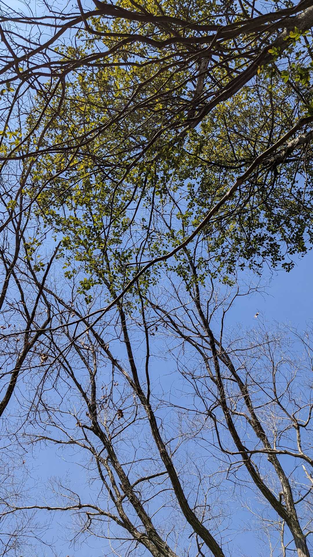 今日は天気良くてラッキー〜☀