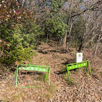 ここから入って行きます。