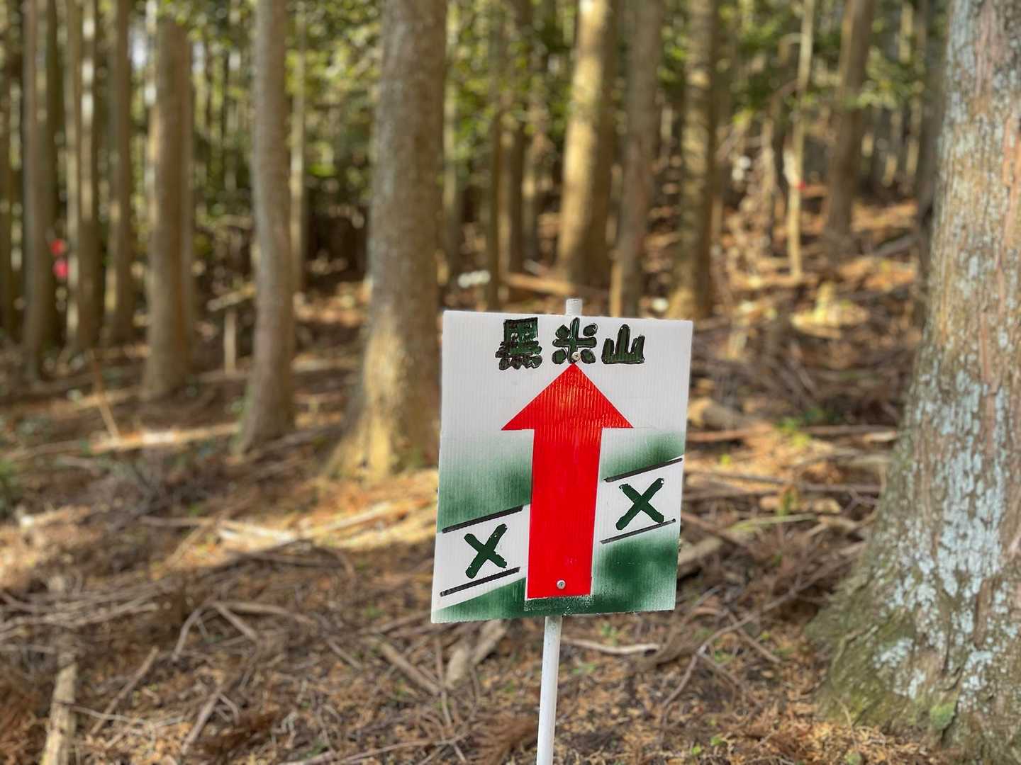 降るとこんな感じ。看板が親切✨
でも
父『あと何メートルか書いてくれ！白米城みたいに！！！！』を繰り返す笑😆