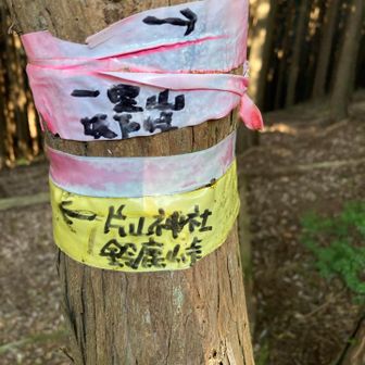 YAMAP赤ルートないが、テープあり
激降り。結構、斜度あり