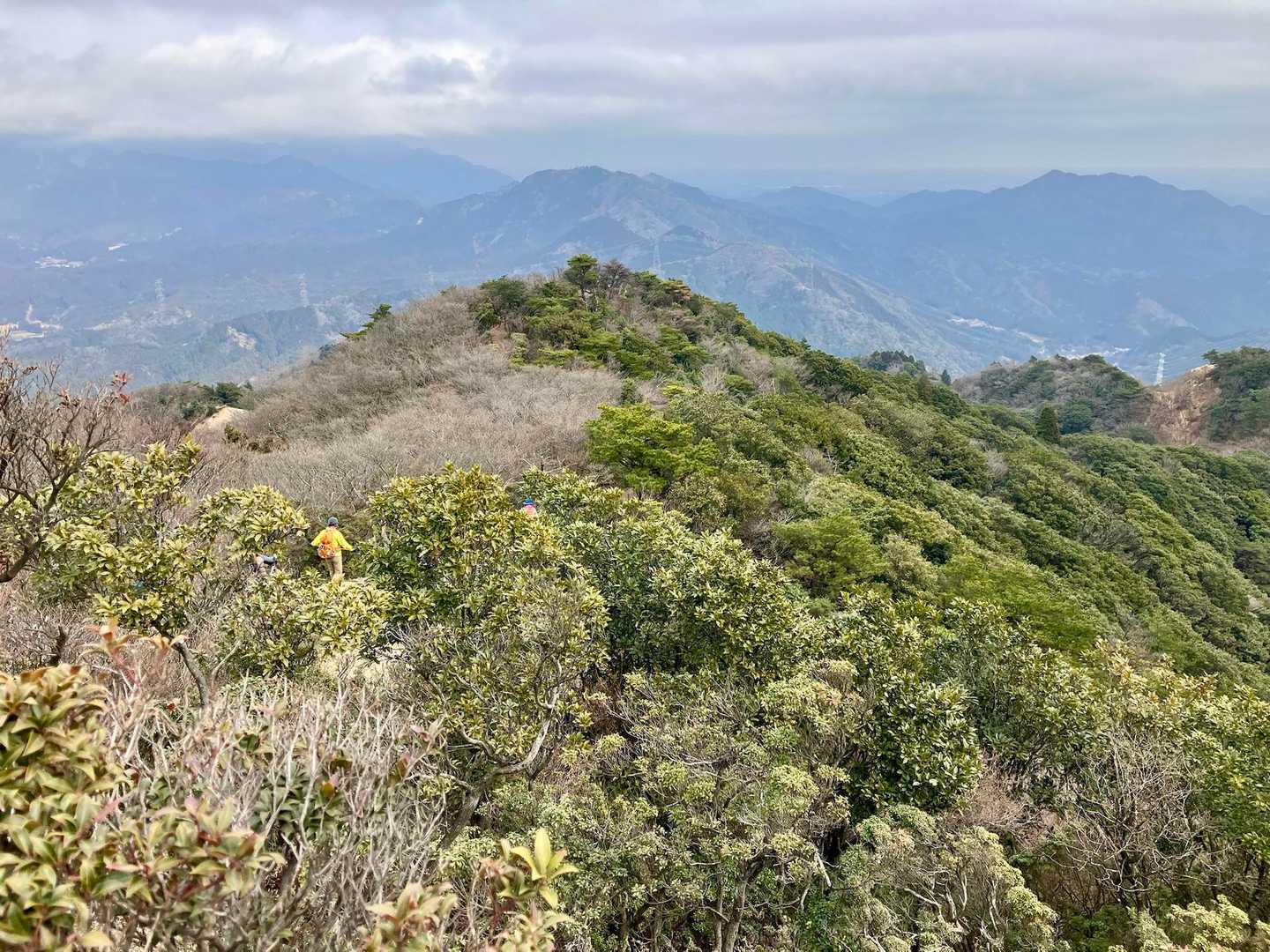 鈴鹿峠-高畑山 往復コースの写真