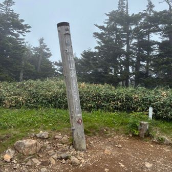 苗場山の山頂
