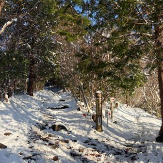 いつもどおりC→Bコース
スタートからチェンスパ装着