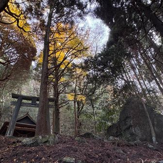 ひっそり佇む神社⛩️