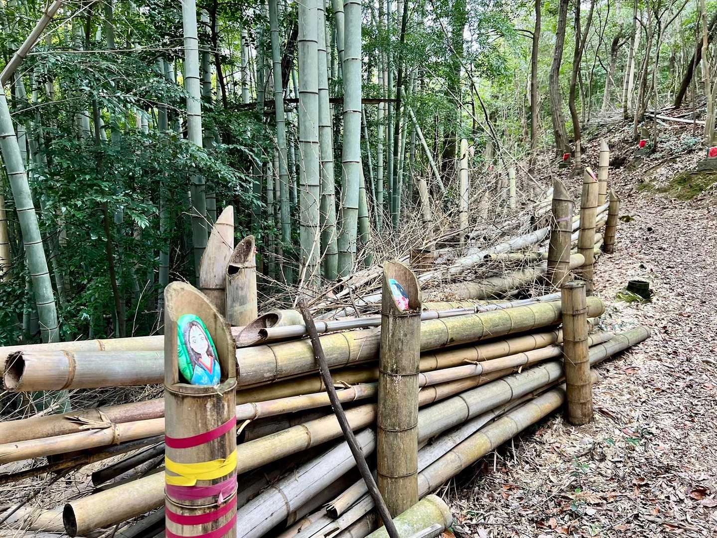 山王山 往復コースの写真