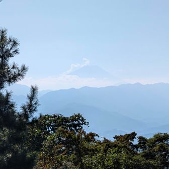 久しぶりに、富士山が見えました