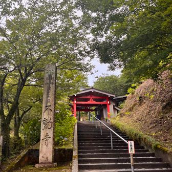 ありがとうございました😊
ゆっくりお散歩。いい汗かきました。

下山メシご一緒したかったけど、山友さんとはここでお別れしますね。すみません💦
私は自宅でサッカー観戦します！
ウカスカジーの勝利の笑みを〜君と〜🎵が
沁みるーーー🇯🇵