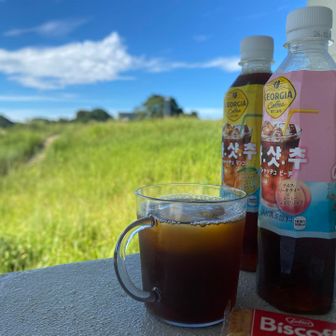 基肄城跡を眺めながらアイスティー🧊
マンゴー＆ピーチ(マンゴーの方が好みでした)