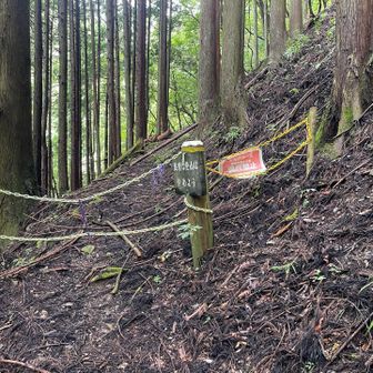 こちらは通行禁止になってる登山道