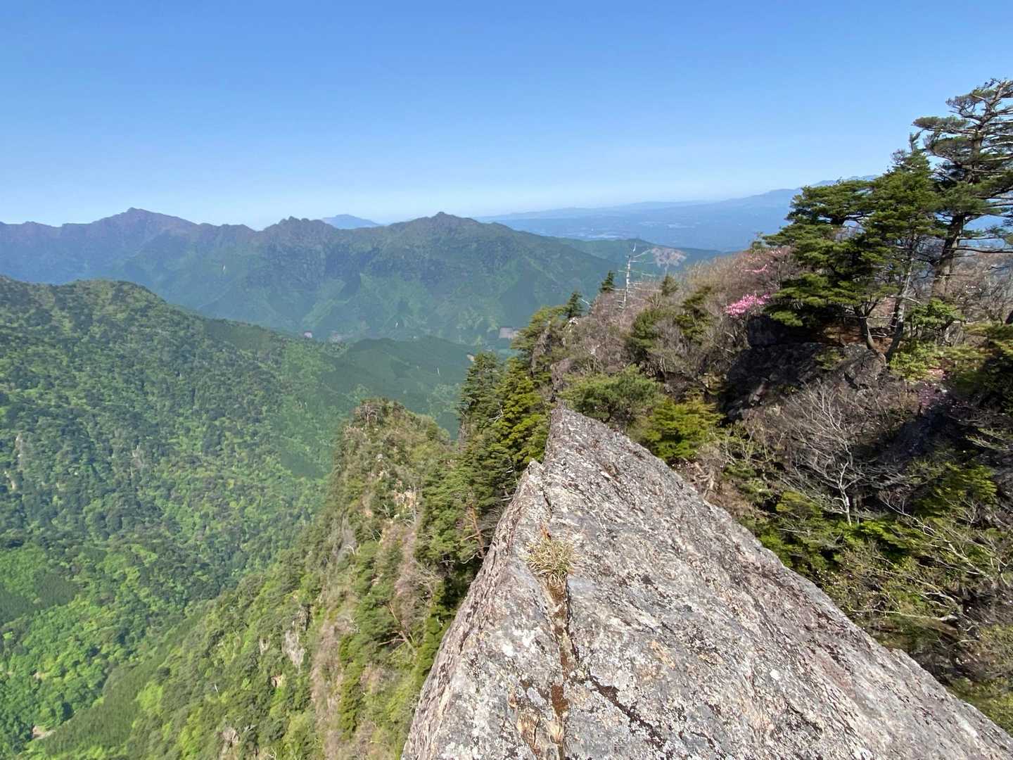 傾山-九折越 周回コースの写真