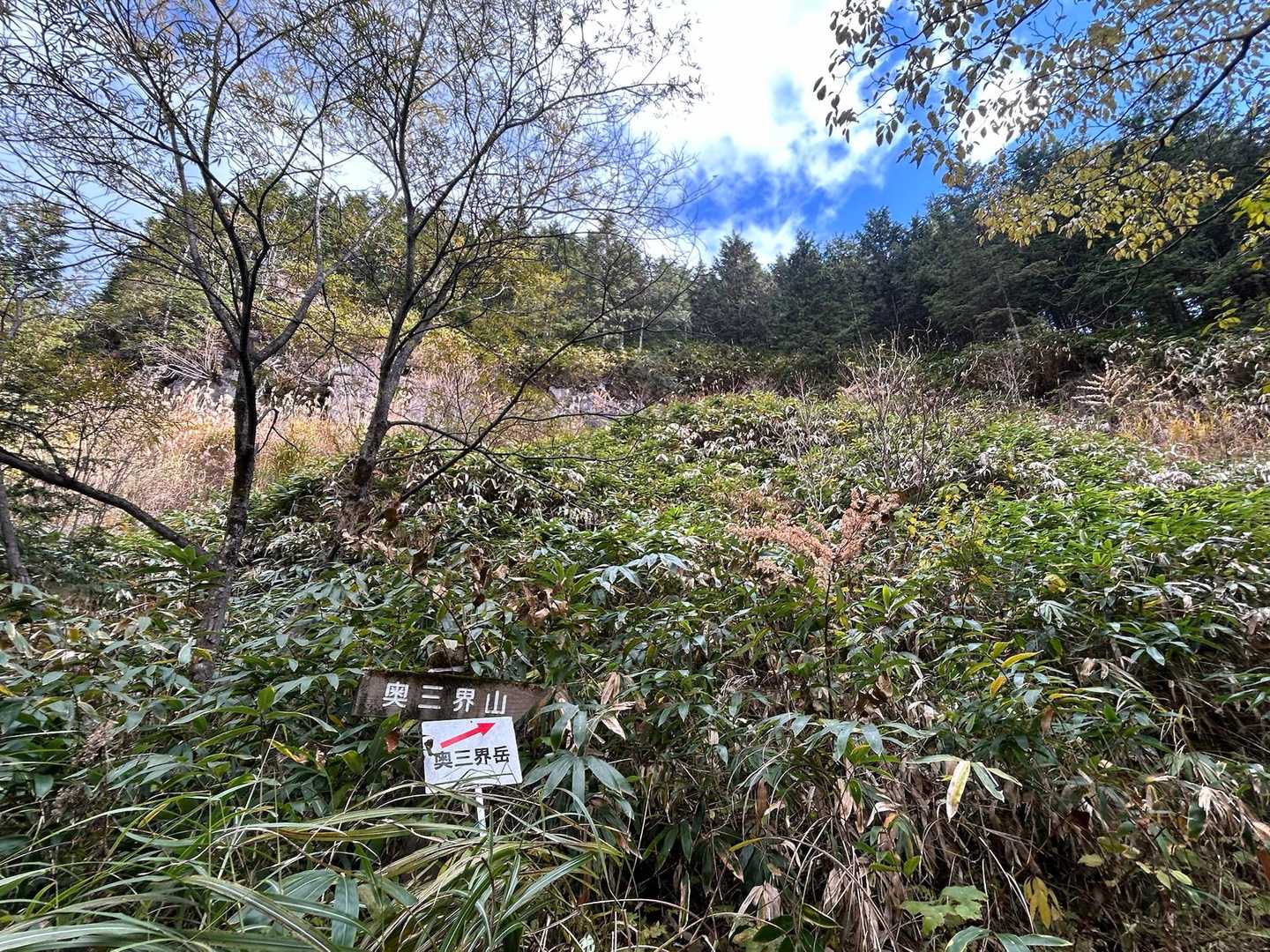 奥三界山or奥三界岳