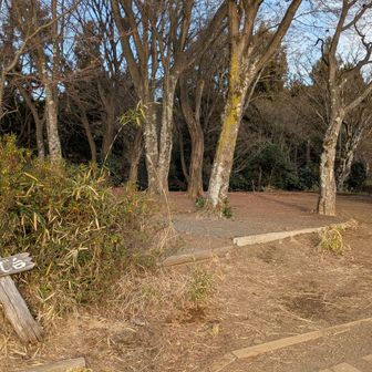 西側の紅葉台の茶店で休憩、と思ってたのに無くなっていてびっくり