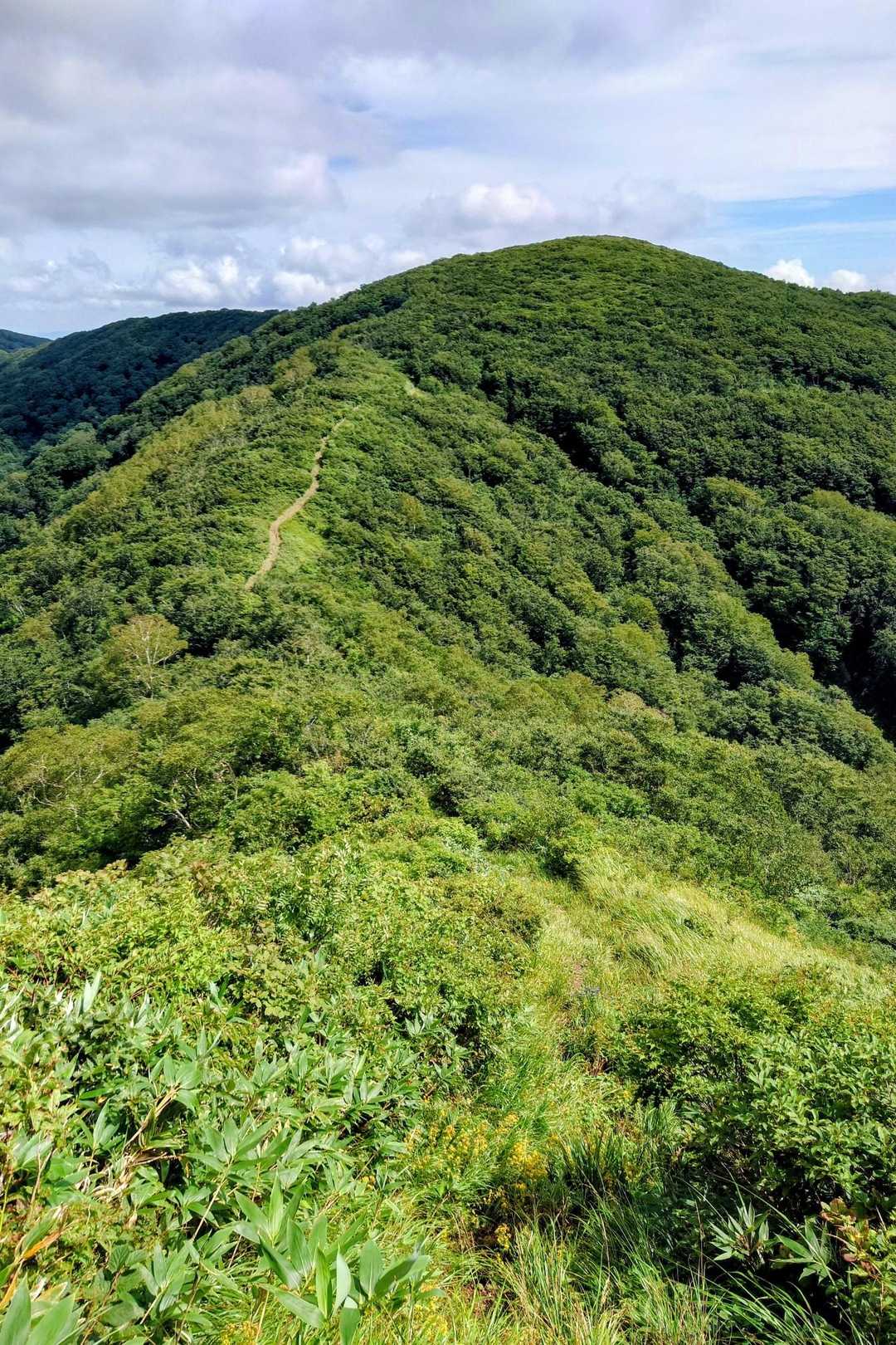 登り返して
✨️沢尻岳✨️山頂まで戻る👣