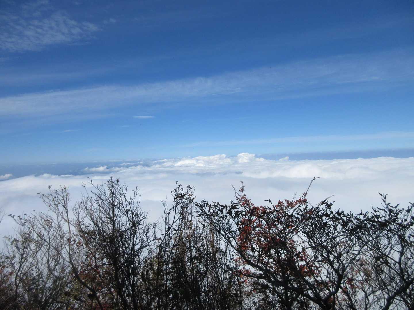 北側が雲海で真っ白