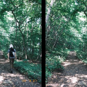 ということで、1年10ヶ月ぶりの登山！
ゴールデンウィーク旅行の前にフジフィルムX halfという新しいカメラ買いました📷