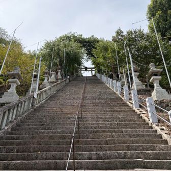 登るのはうんざりやけど