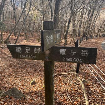 端足峠から本栖湖畔までのルートは落ち葉で埋もれ、石が隠れてしまい、非常に歩き難かった