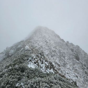 これが最後、手も使ってよじ登る