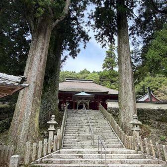 ご立派