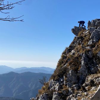 くま？かな？？