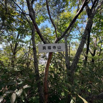いつもの真福寺山