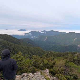 いいですよね、深南部の光景