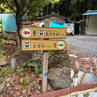 この先にトイレがあって、そっちの山道に入ります
何も標識がなくてわかりにくいので、地元の方に教えていただきました